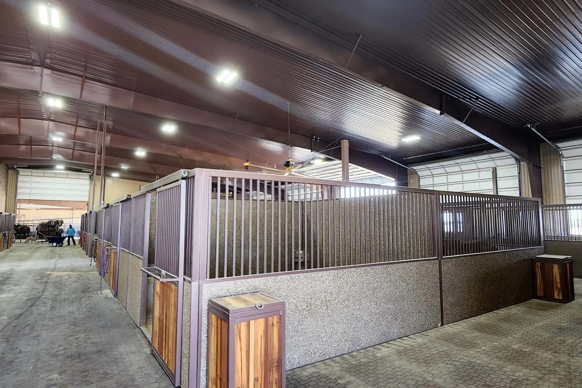 Steel horse arena 10