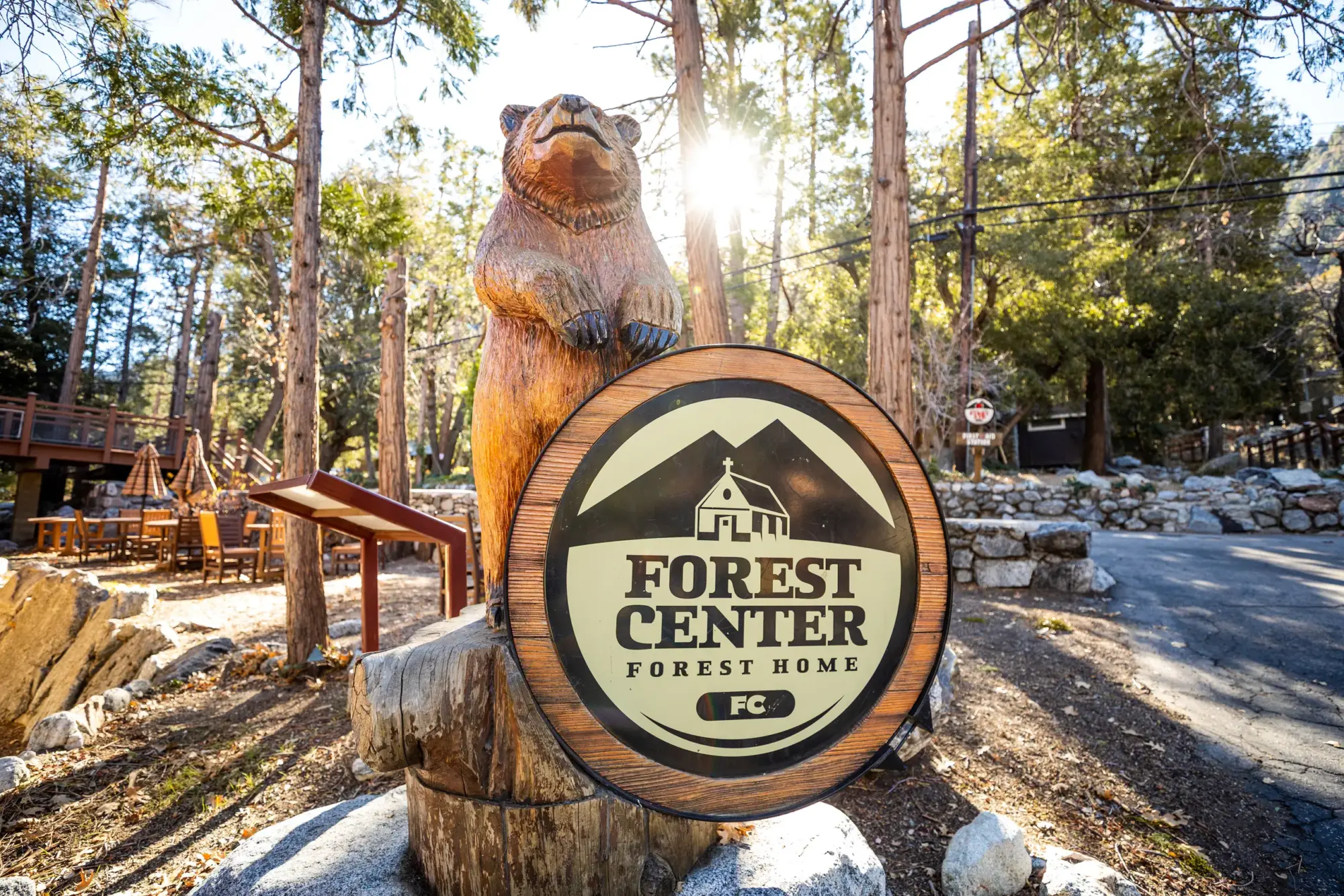 Forest center bear