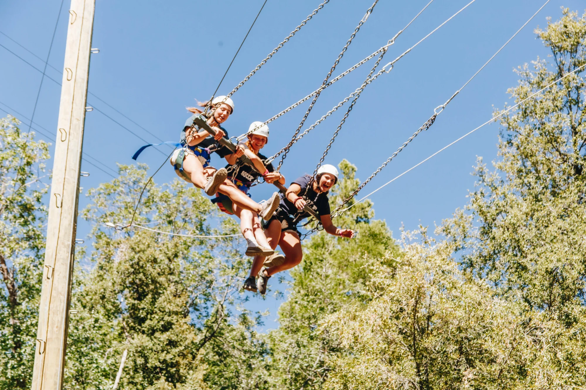 activities zipline group riders helmets smiling aerial trees
