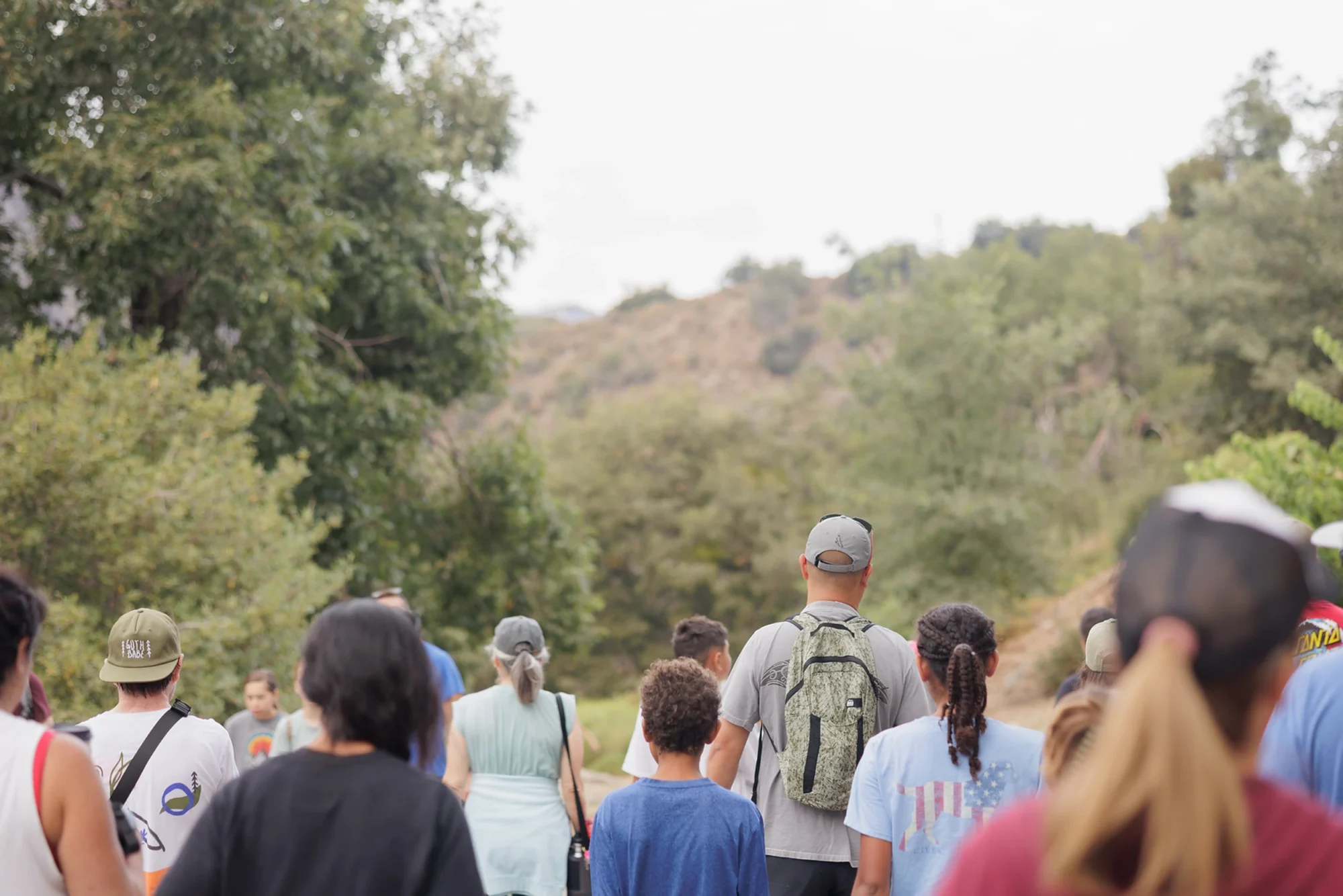 families walking nature trail trek through forest