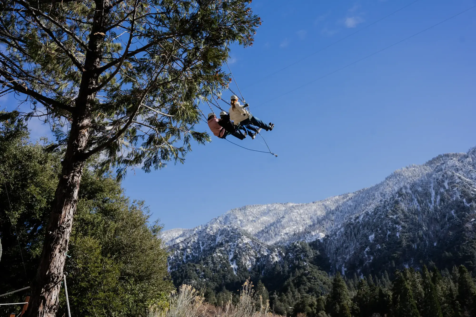 giant swing winter