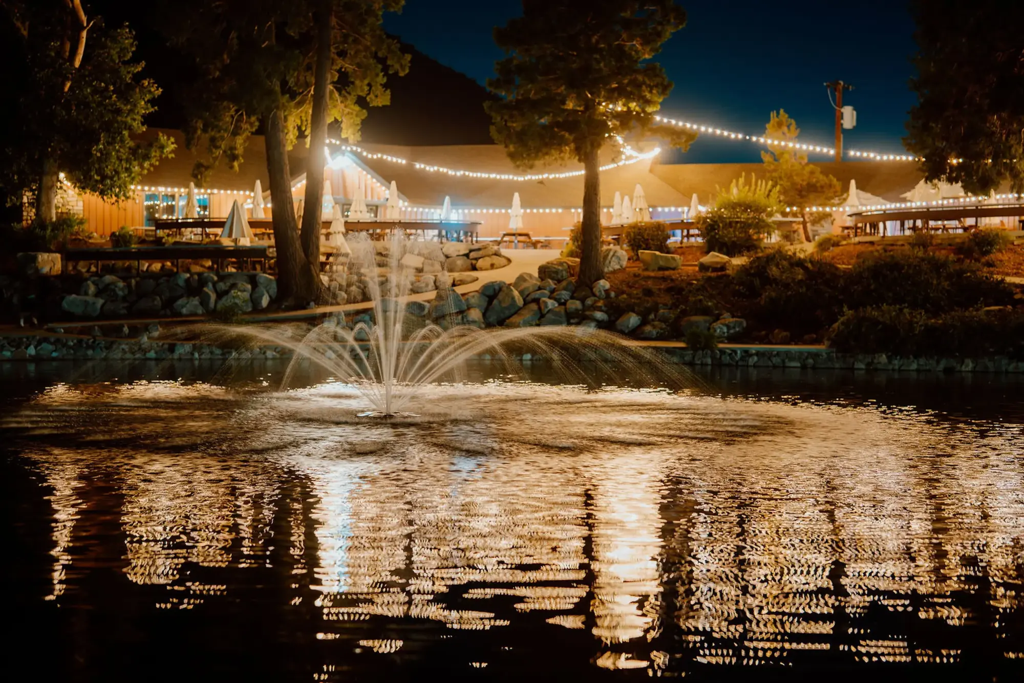 lakeview dining night fountain