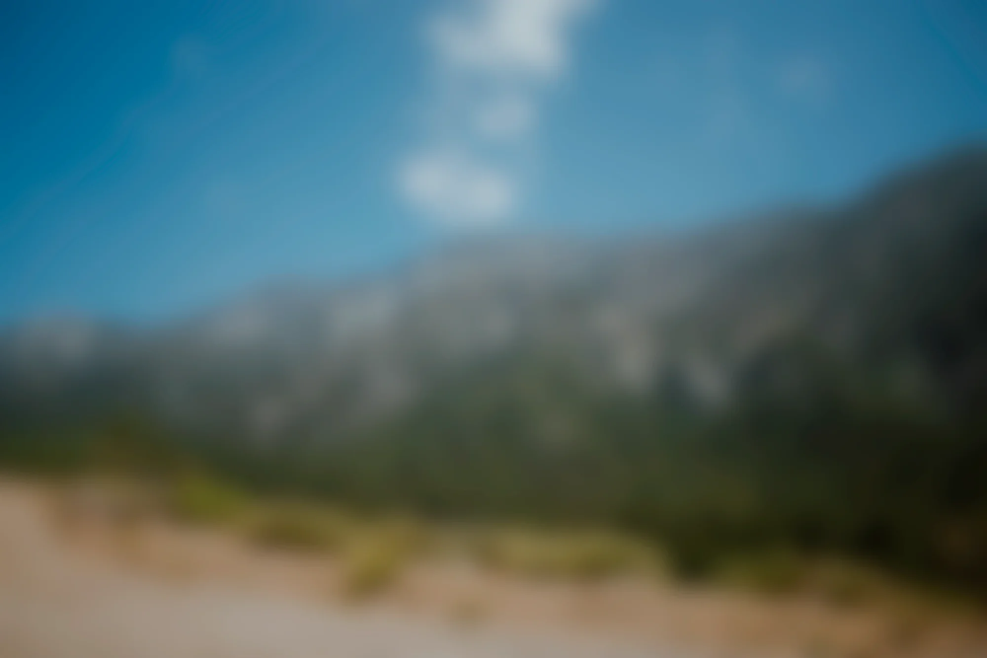 placeholder 1