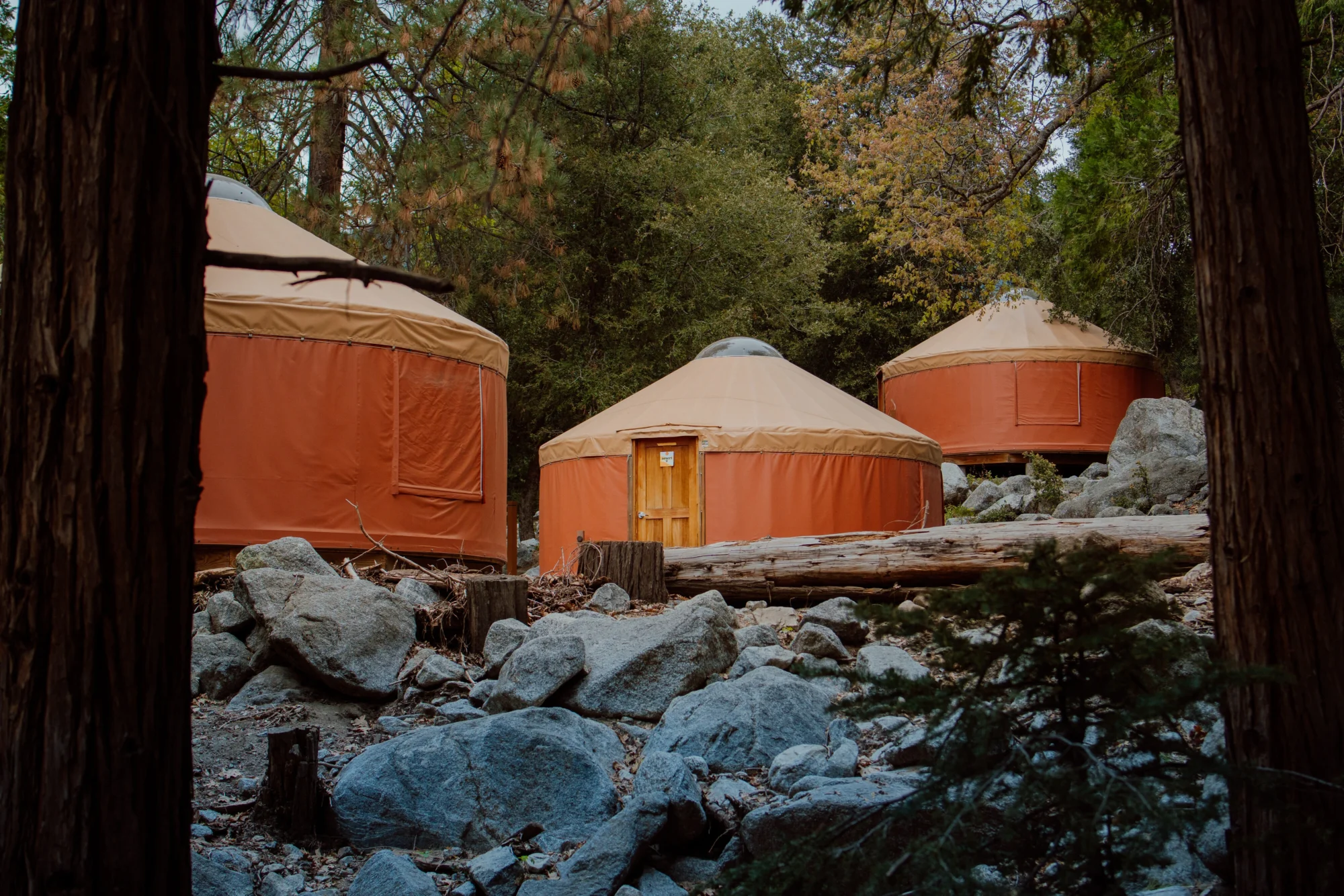 property multiple yurts village boulder forest