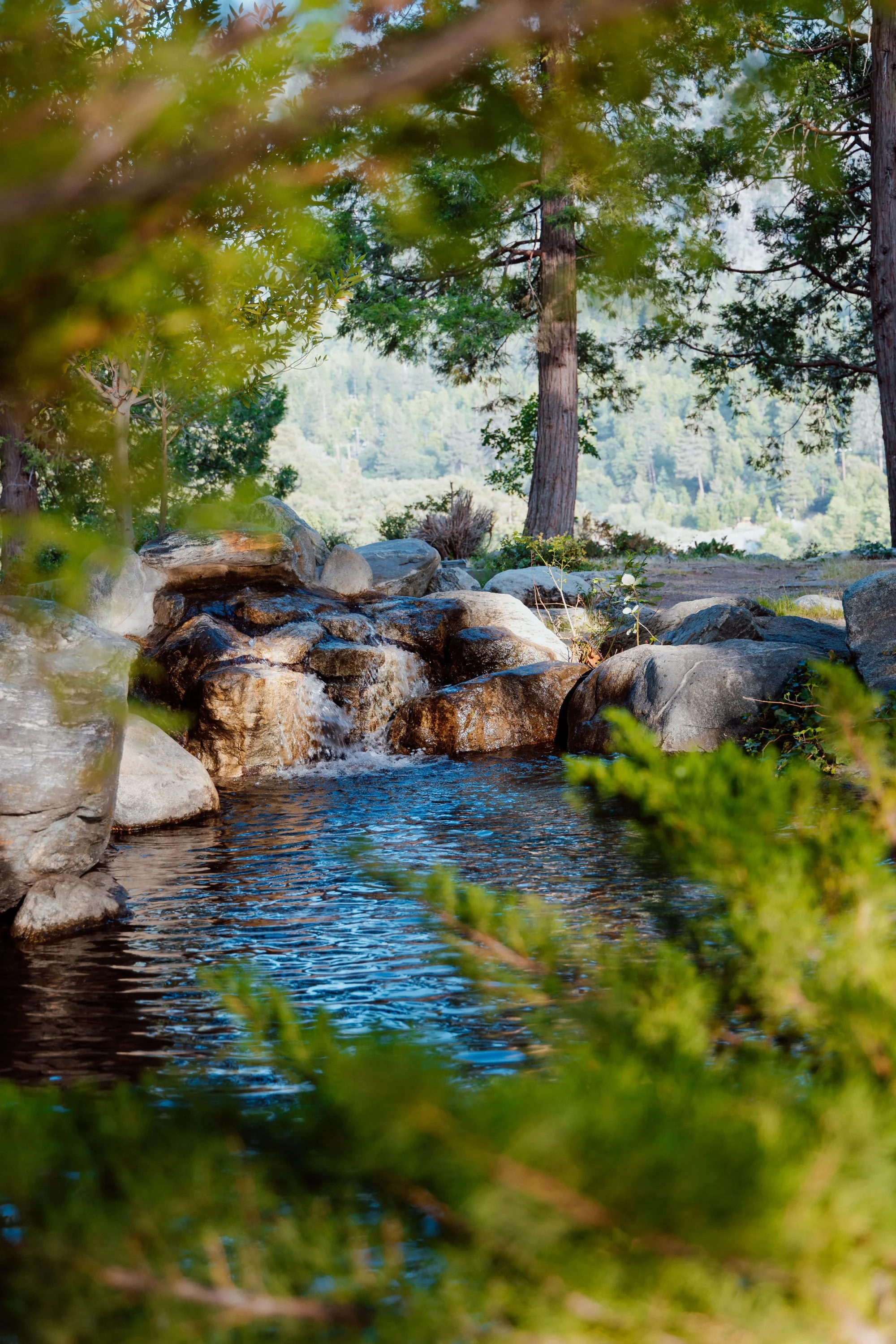 scenic pond natural boulders clear water pine trees camp grounds