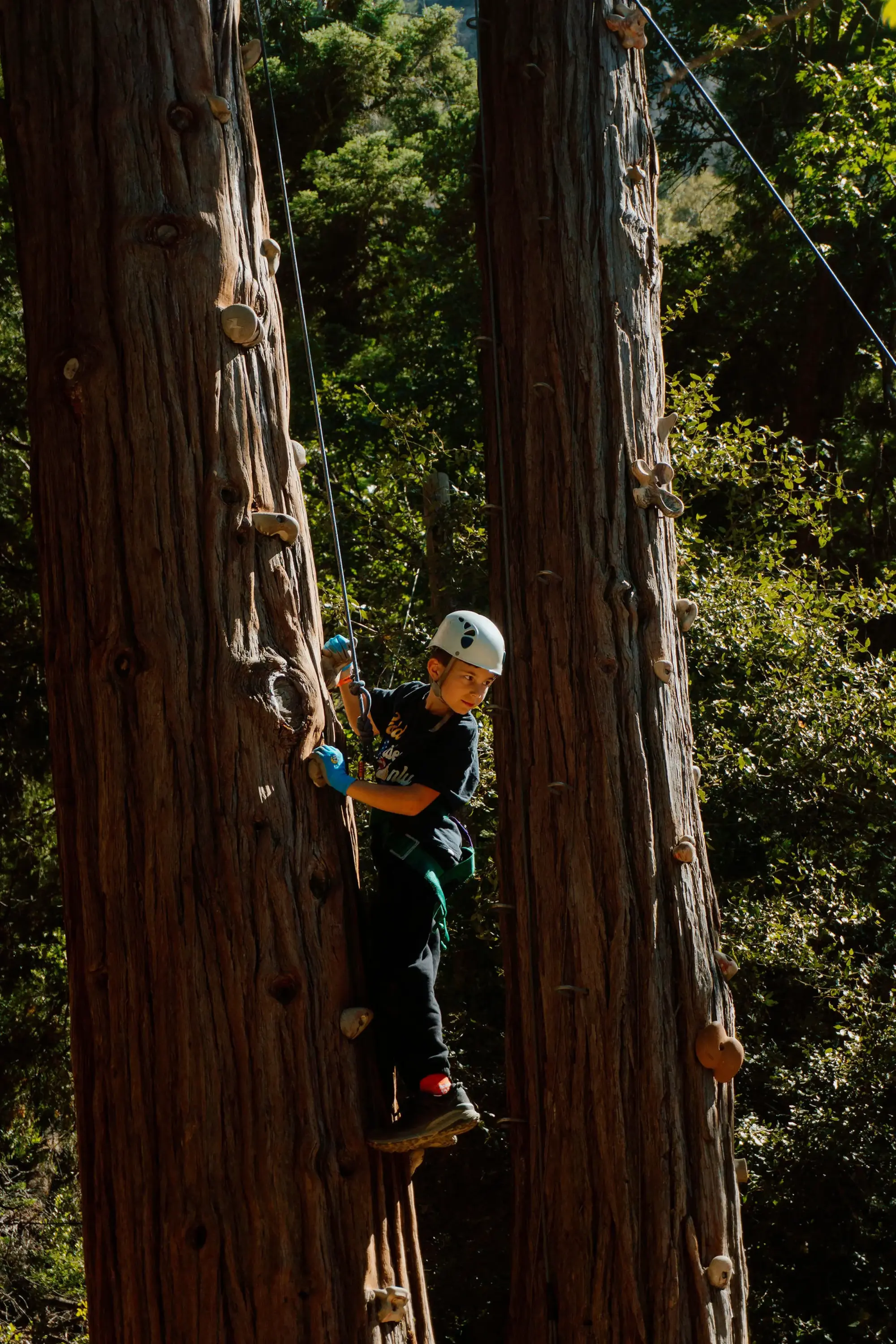 tree climb rec wild
