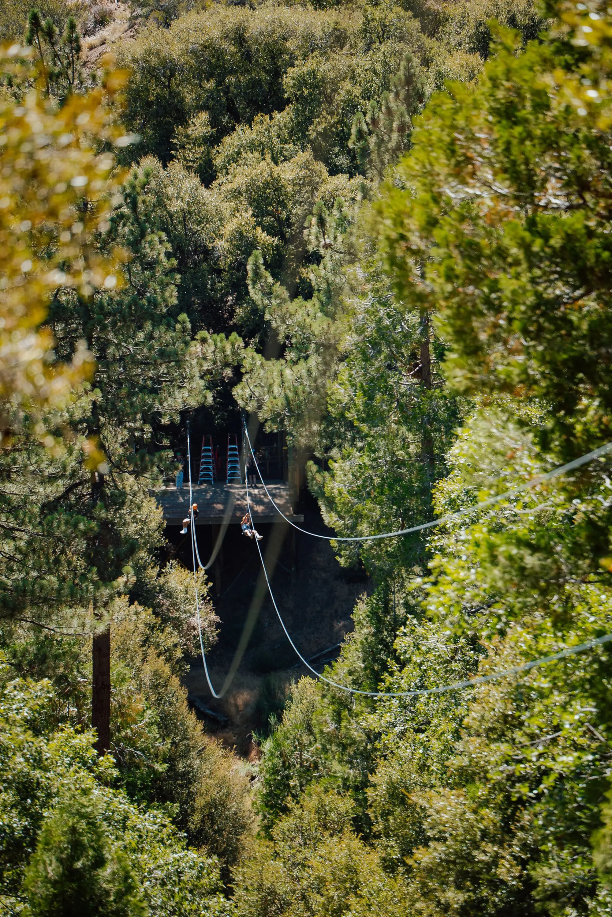 zipline far vertical